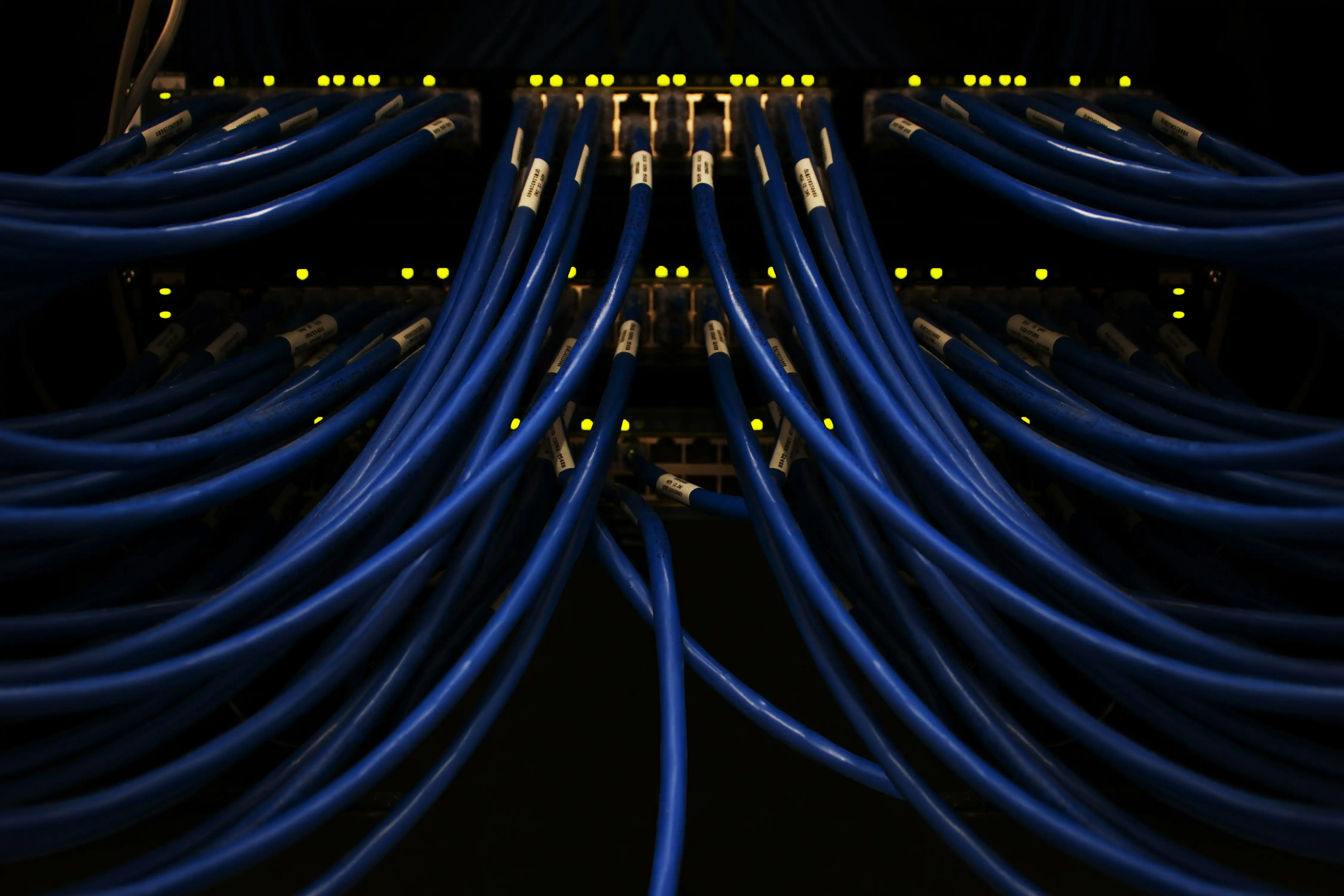 Neatly bundled blue network cables fanning into a switch, status lights glowing.